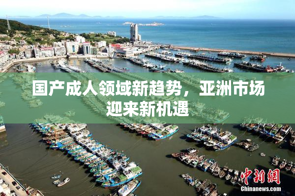 国产成人领域新趋势，亚洲市场迎来新机遇
