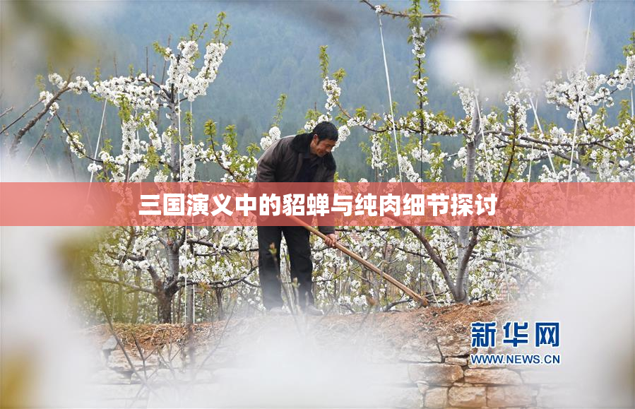 三国演义中的貂蝉与纯肉细节探讨