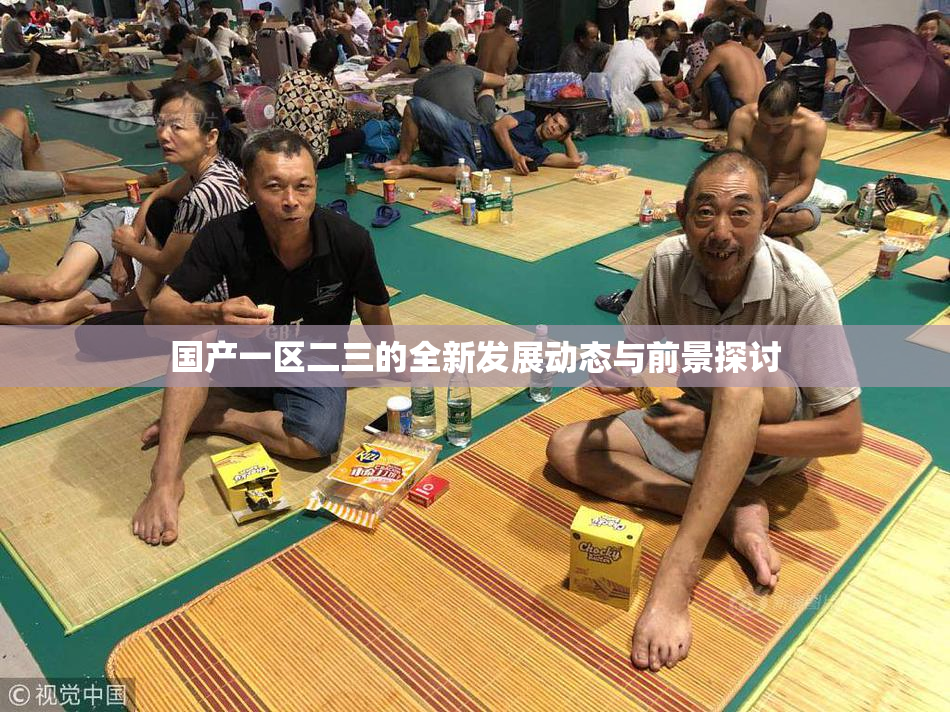 国产一区二三的全新发展动态与前景探讨