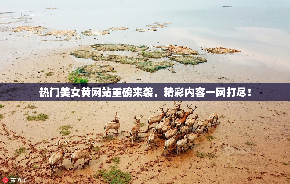 热门美女黄网站重磅来袭，精彩内容一网打尽！