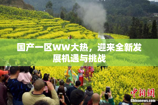 国产一区WW大热，迎来全新发展机遇与挑战