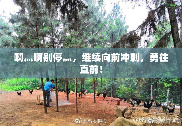 啊灬啊别停灬，继续向前冲刺，勇往直前！