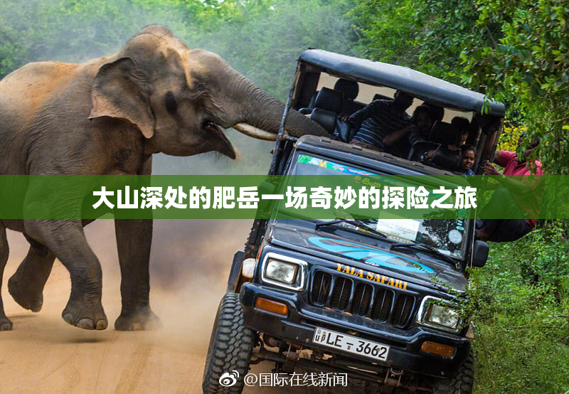 大山深处的肥岳一场奇妙的探险之旅