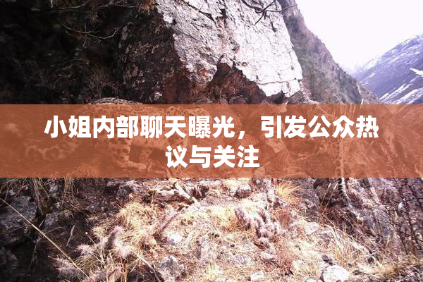 小姐内部聊天曝光，引发公众热议与关注