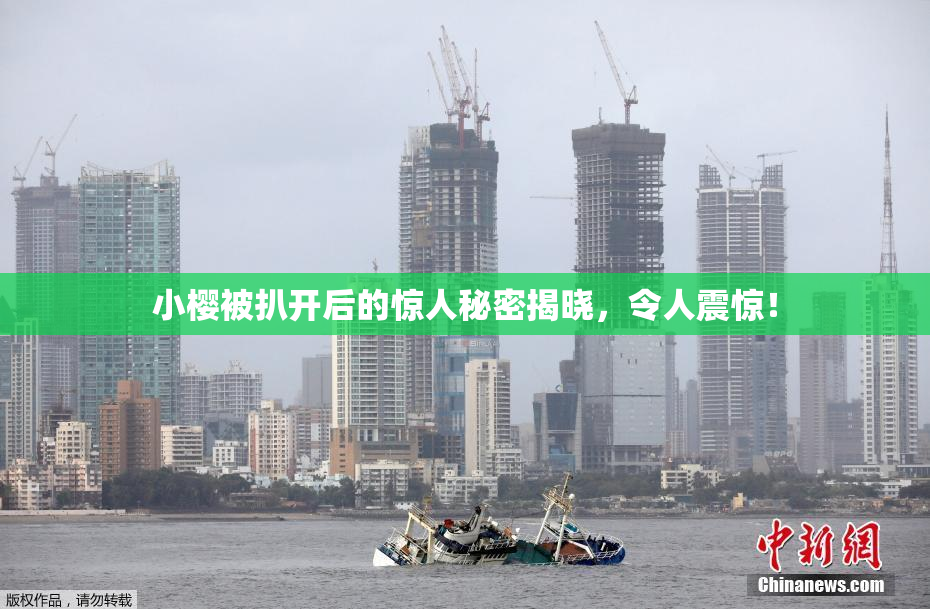 小樱被扒开后的惊人秘密揭晓，令人震惊！