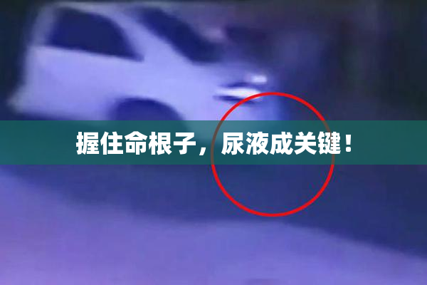 握住命根子，尿液成关键！