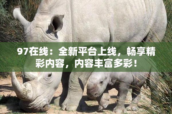 97在线：全新平台上线，畅享精彩内容，内容丰富多彩！