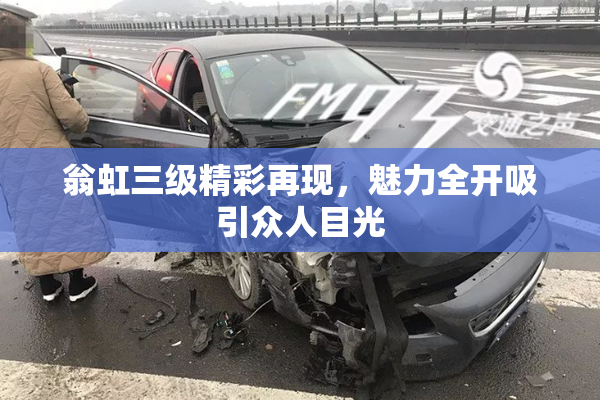 翁虹三级精彩再现，魅力全开吸引众人目光