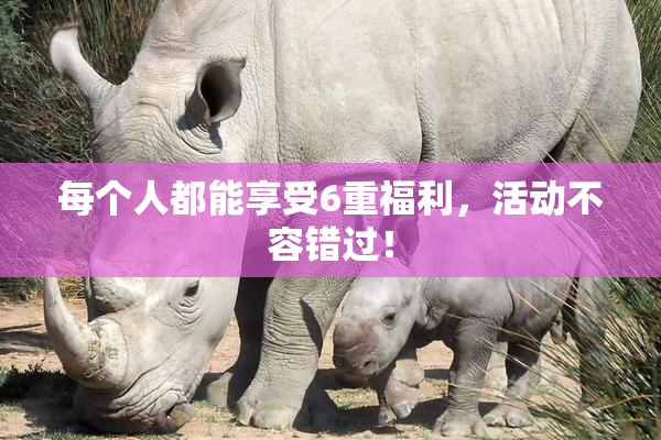 每个人都能享受6重福利，活动不容错过！