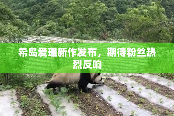 希岛爱理新作发布，期待粉丝热烈反响