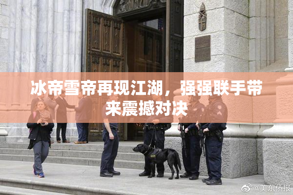 冰帝雪帝再现江湖，强强联手带来震撼对决