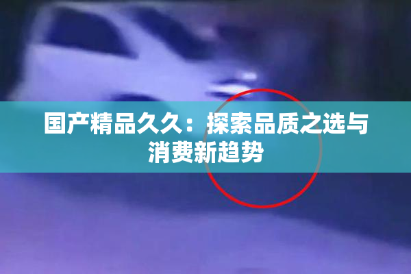 国产精品久久：探索品质之选与消费新趋势