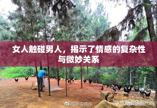 女人触碰男人，揭示了情感的复杂性与微妙关系