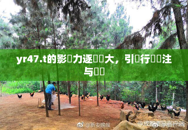 yr47.t的影響力逐漸擴大，引發行業關注与討論