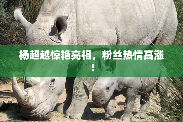 杨超越惊艳亮相，粉丝热情高涨！