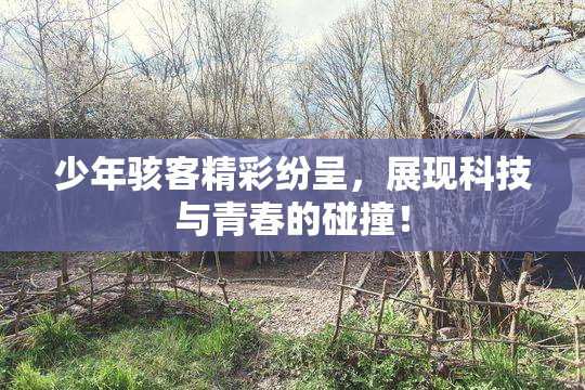 少年骇客精彩纷呈，展现科技与青春的碰撞！