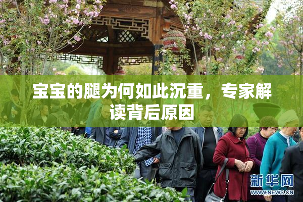 宝宝的腿为何如此沉重，专家解读背后原因
