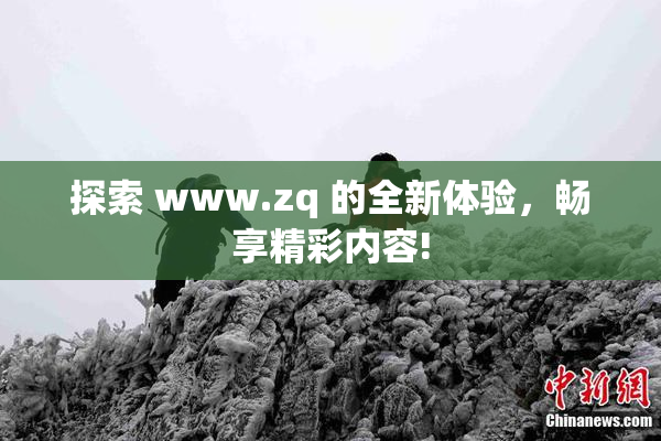 探索 www.zq 的全新体验，畅享精彩内容!