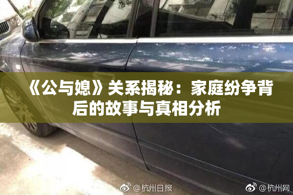 《公与媳》关系揭秘：家庭纷争背后的故事与真相分析