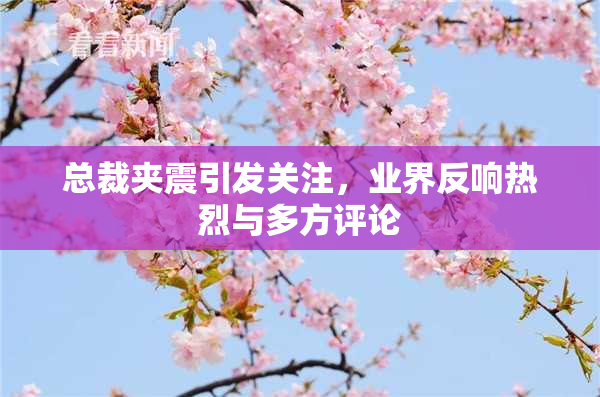 总裁夹震引发关注，业界反响热烈与多方评论