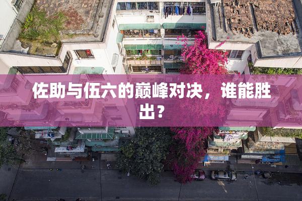 佐助与伍六的巅峰对决，谁能胜出？