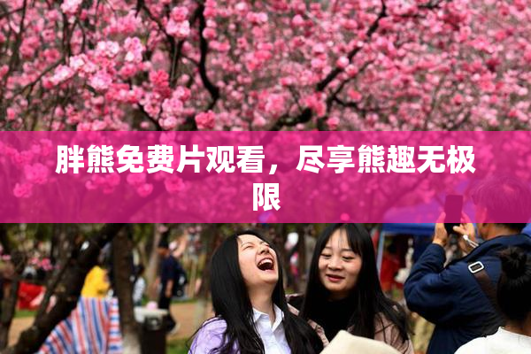 胖熊免费片观看，尽享熊趣无极限