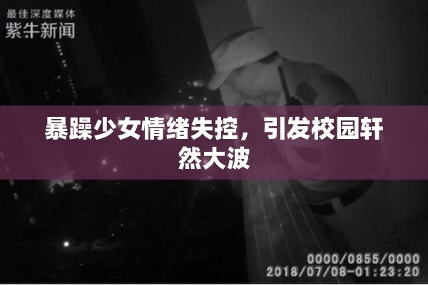 暴躁少女情绪失控，引发校园轩然大波