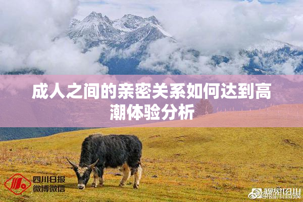 成人之间的亲密关系如何达到高潮体验分析