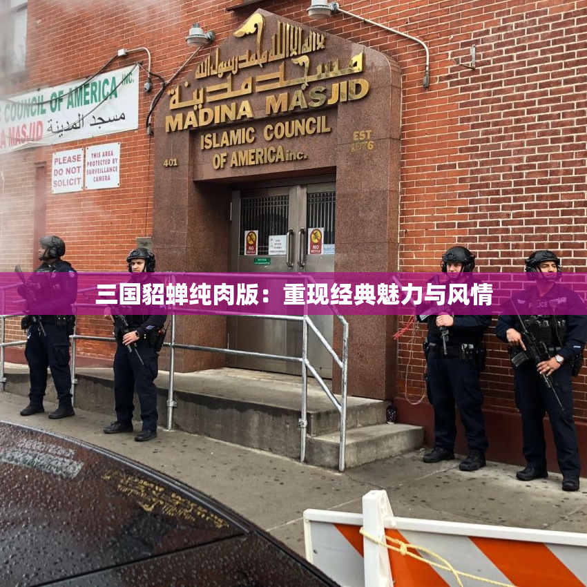 三国貂蝉纯肉版：重现经典魅力与风情