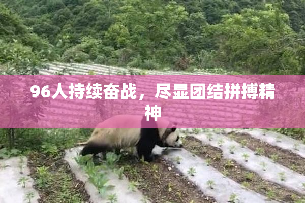 96人持续奋战，尽显团结拼搏精神