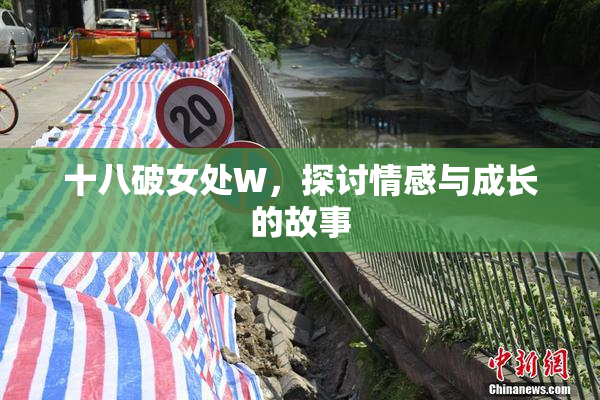 十八破女处W，探讨情感与成长的故事