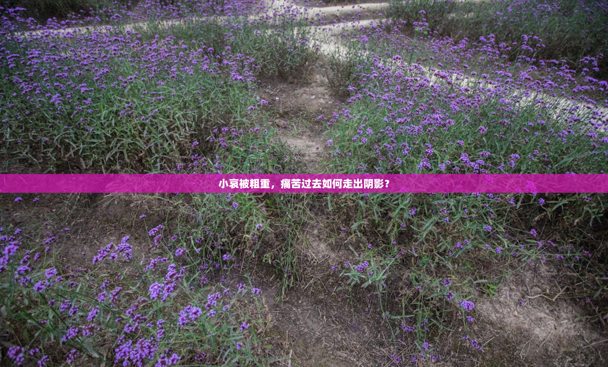 小哀被粗重，痛苦过去如何走出阴影？