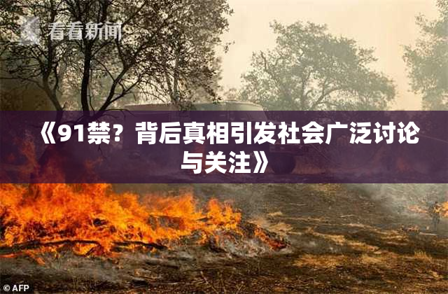 《91禁？背后真相引发社会广泛讨论与关注》