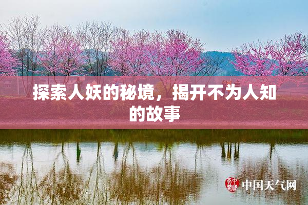 探索人妖的秘境，揭开不为人知的故事