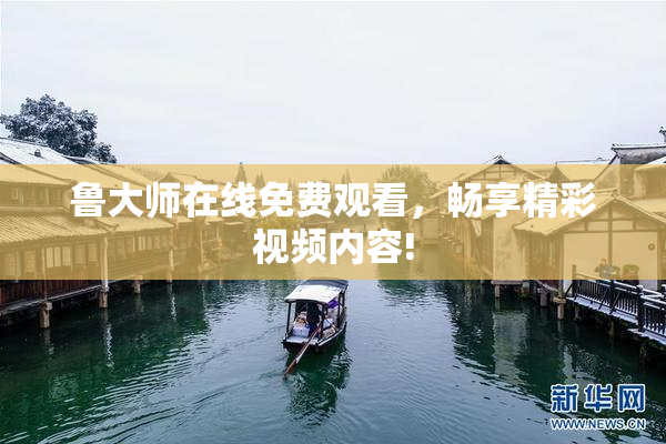 鲁大师在线免费观看，畅享精彩视频内容!