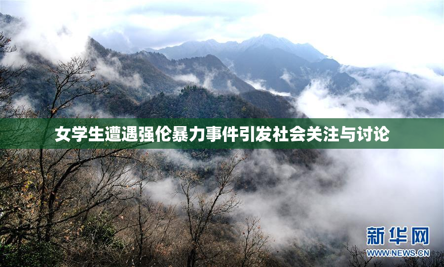 女学生遭遇强伦暴力事件引发社会关注与讨论