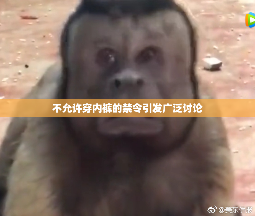 不允许穿内裤的禁令引发广泛讨论