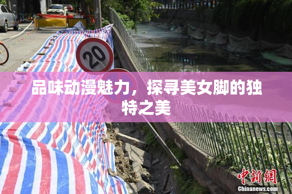 品味动漫魅力，探寻美女脚的独特之美