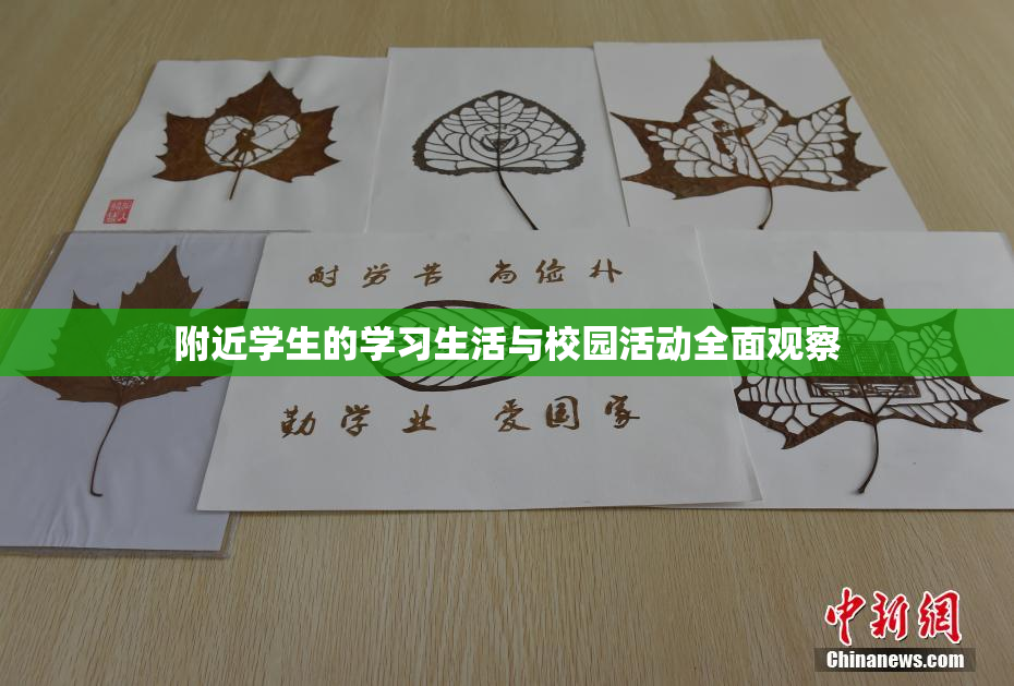 附近学生的学习生活与校园活动全面观察