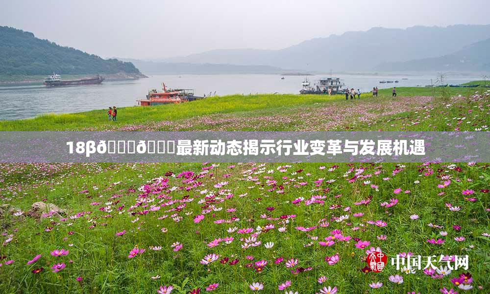 18β🍆🍑最新动态揭示行业变革与发展机遇