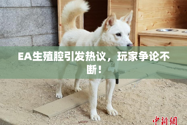 EA生殖腔引发热议，玩家争论不断！