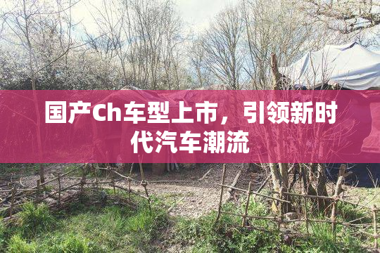 国产Ch车型上市，引领新时代汽车潮流