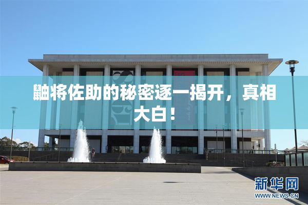 鼬将佐助的秘密逐一揭开，真相大白！
