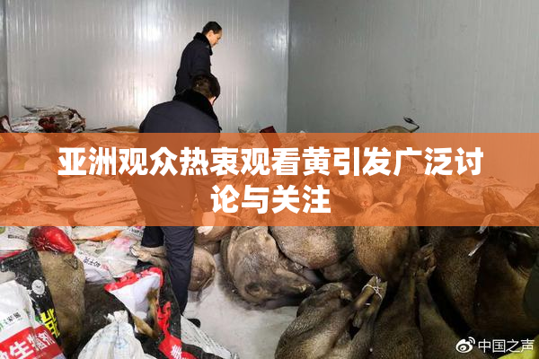 亚洲观众热衷观看黄引发广泛讨论与关注