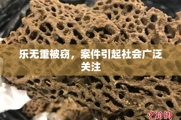 乐无重被窃，案件引起社会广泛关注