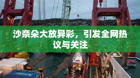 沙奈朵大放异彩，引发全网热议与关注