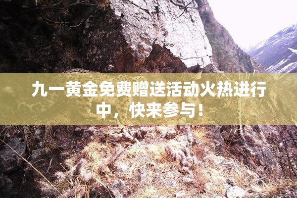 九一黄金免费赠送活动火热进行中，快来参与！