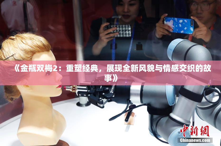 《金瓶双梅2：重塑经典，展现全新风貌与情感交织的故事》