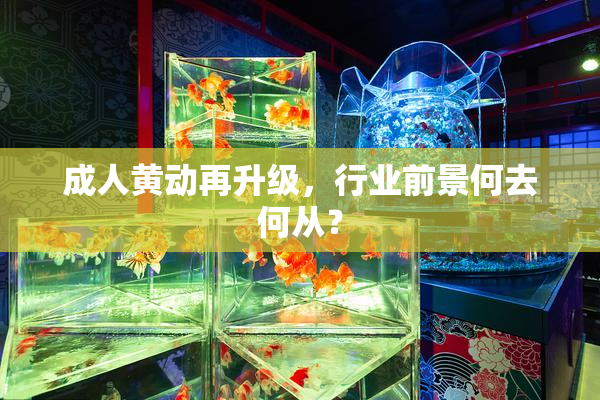 成人黄动再升级，行业前景何去何从？