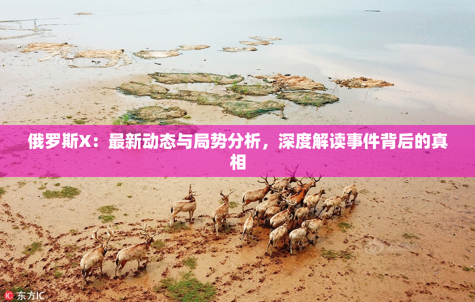 俄罗斯X：最新动态与局势分析，深度解读事件背后的真相
